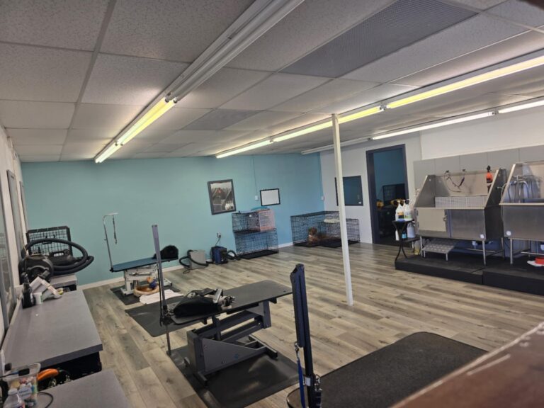 Best in Show Pet Grooming Services