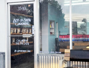 Best in Show - Shop Front