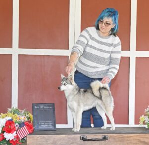 Pet Grooming Champions