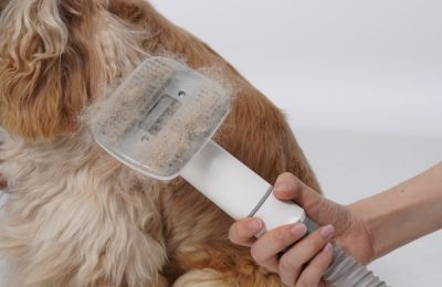 Tooth Brushing and De-Shredding